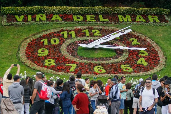 Flower Watch on Viña Del Mar